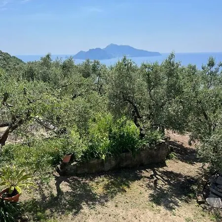 Farm Seaview On Capri * Termini